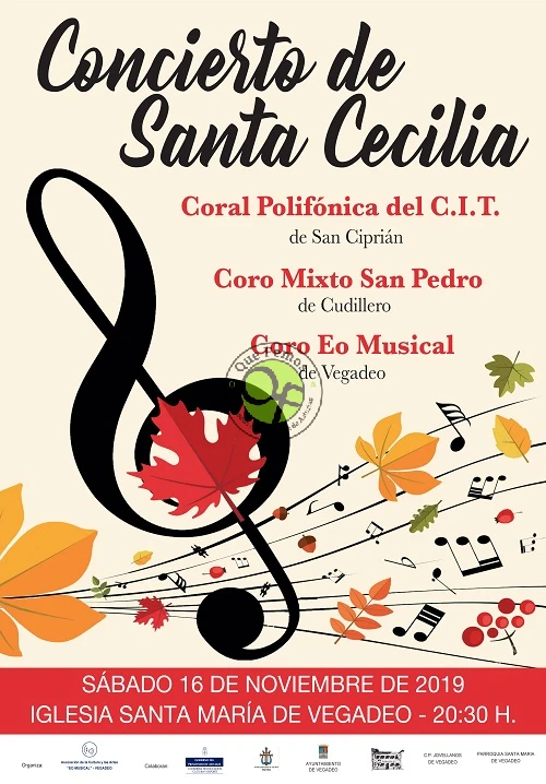 Concierto de Santa Cecilia 2019 en Vegadeo