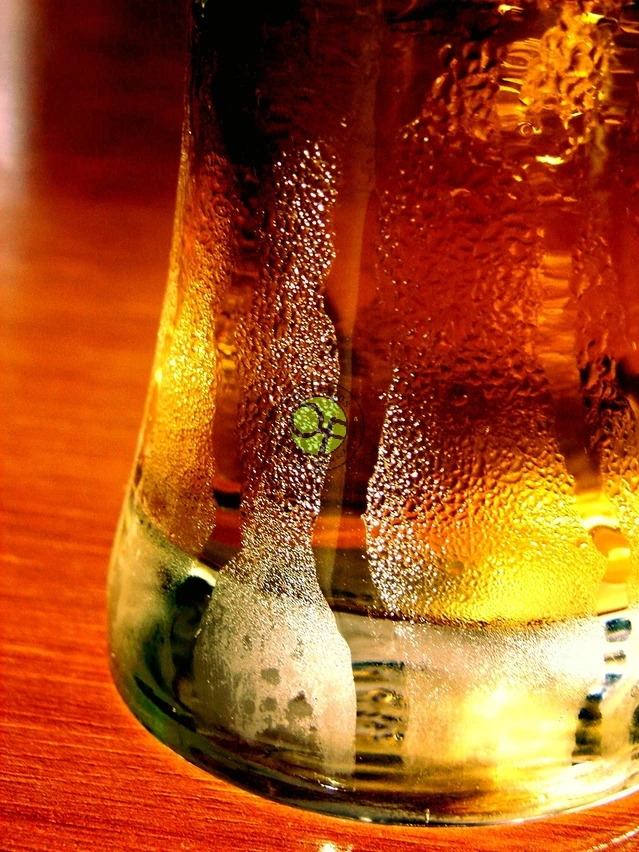 Curso de elaboración de cerveza artesana en los Oscos: agosto 2020