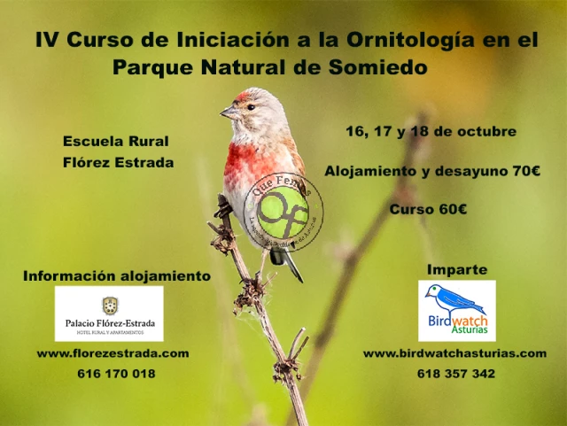 IV Curso de iniciación a la ornitología 2020 en el Parque Natural de Somiedo