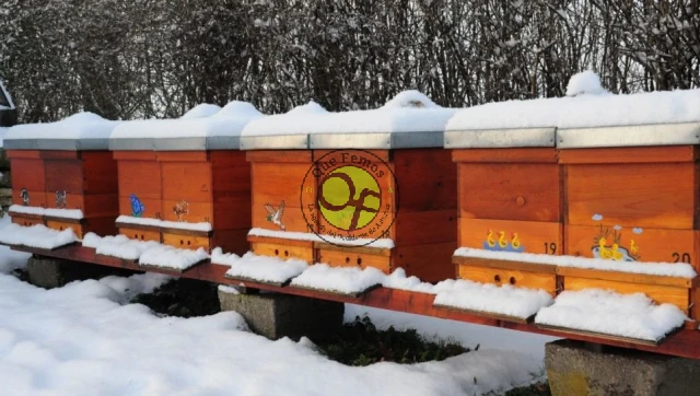 Curso de apicultura en los Oscos: abril 2021