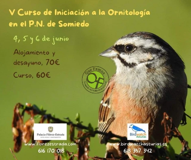 V Curso de Iniciación a la Ornitología en Somiedo