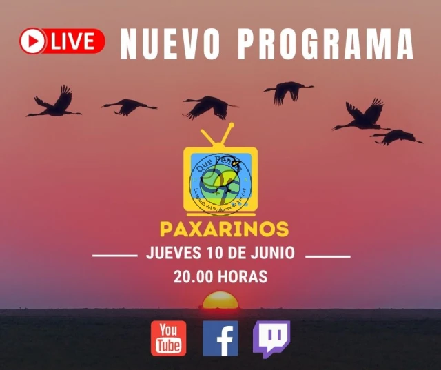 Paxarinos TV en directo a través de QueFemos