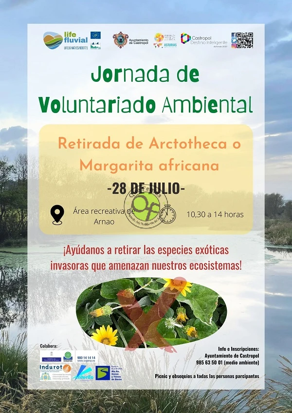 El área recreativa de Arnao acogerá una Jornada de Voluntariado Ambiental