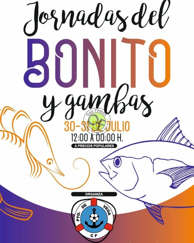 Jornadas del Bonito C.F. Puerto de Vega 2021