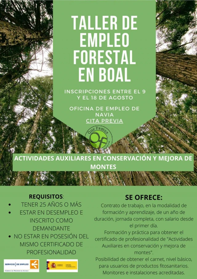 Taller de empleo forestal en Boal