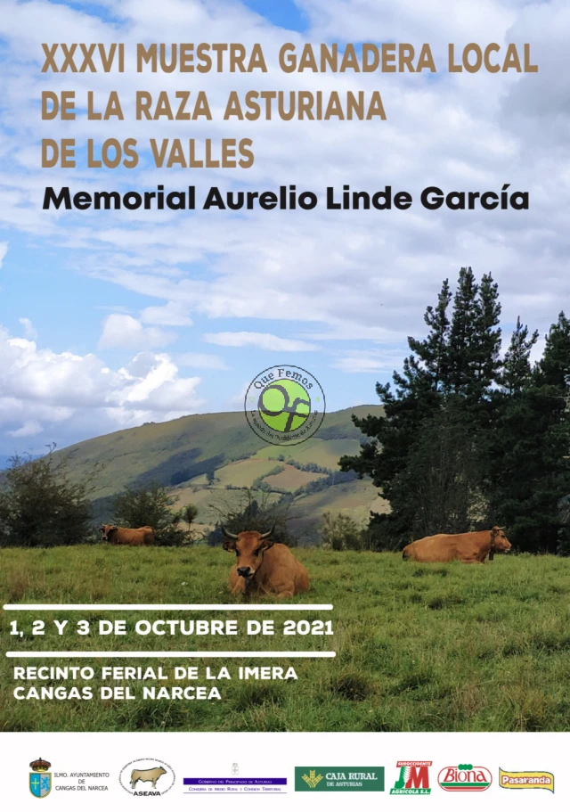 XXXVI Muestra Ganadera Local de Asturiana de Los Valles 