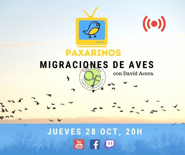 Nuevo programa de Paxarinos TV: migraciones de aves