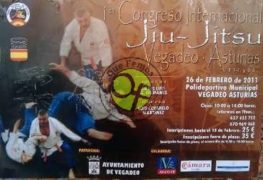 I Congreso Internacional Jiu-Jitsu en Vegadeo
