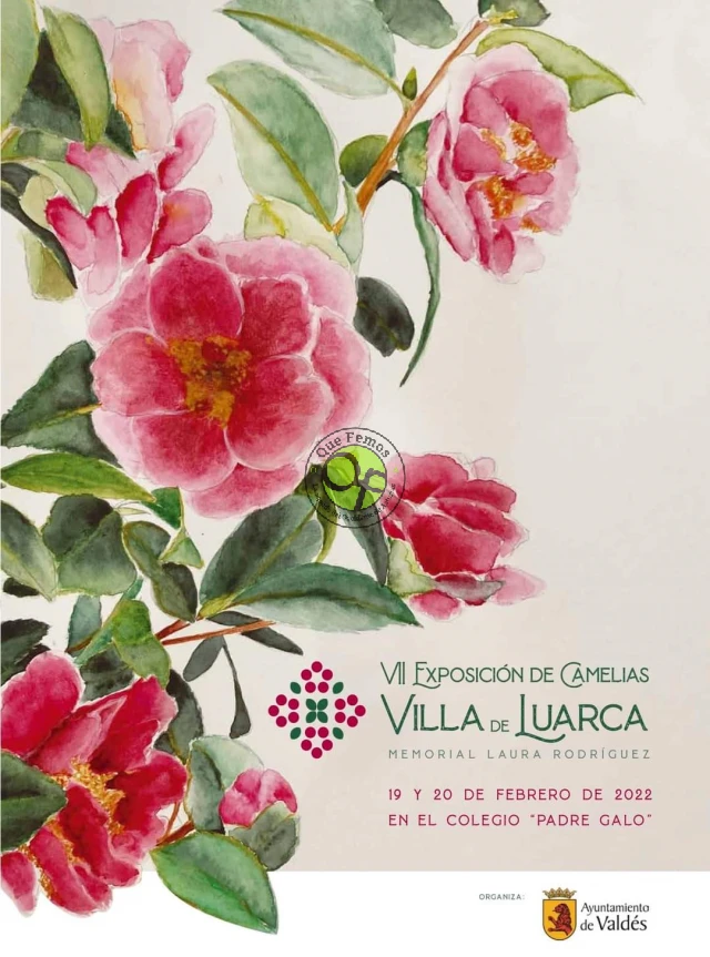 VII Exposición de Camelias Villa de Luarca 2022