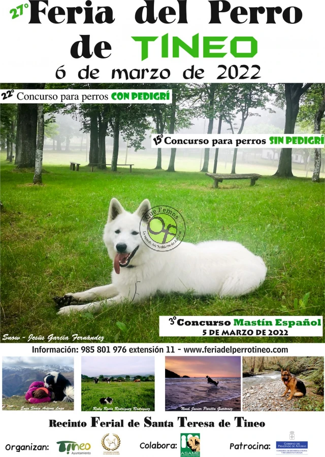 27ª Feria del Perro de Tineo 2022