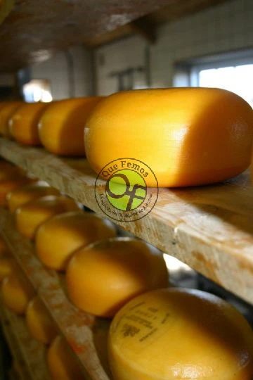 Curso de quesos y productos lácteos en los Oscos: mayo 2022