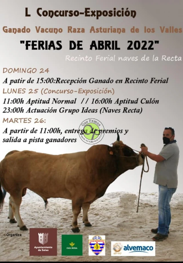 L Concurso Exposición de Ganado Vacuno Raza Asturiana de los Valles en Salas