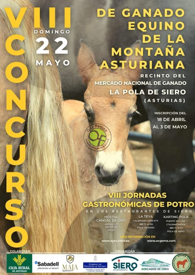 VIII Concurso de ganado equino de la montaña asturiana 2022 en Pola de Siero