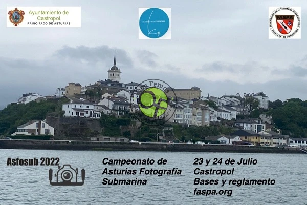 Campeonato de Asturias de fotografía submarina en Castropol