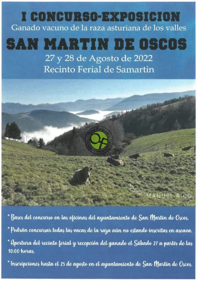 I Concurso de ganado vacuno asturiana de los valles en Samartín d'Oscos