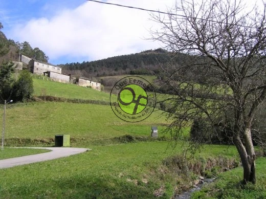 Acevedo, Arancedo y Aquelcabo de fiesta