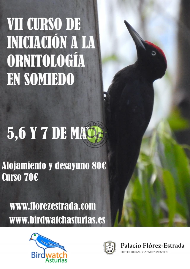 VII Curso de Iniciación a la Ornitología en Somiedo