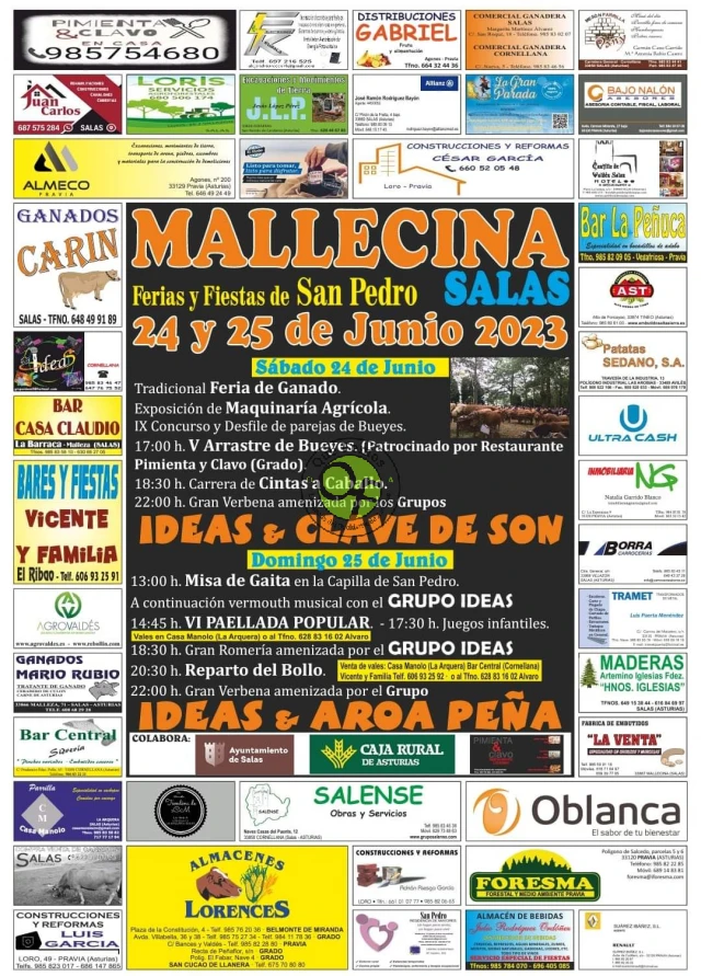 Fiestas y Ferias de San Pedro 2023 en Mallecina