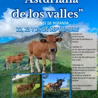 Exposición de Asturiana de los Valles en Belmonte de Miranda
