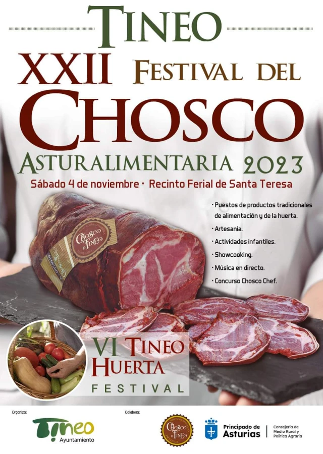 XXII Festival del Chosco de Tineo 2023