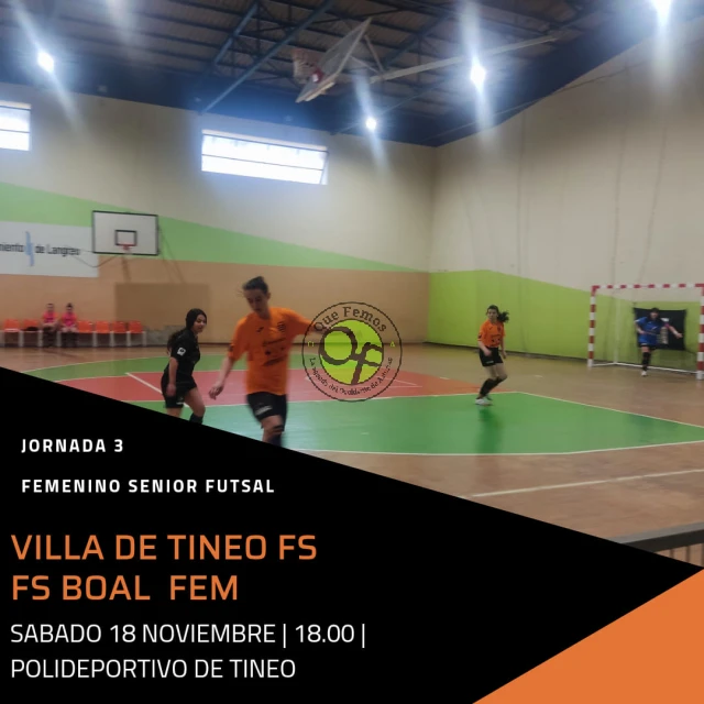 Villa de Tineo F.S. vs F.S.Boal Fem