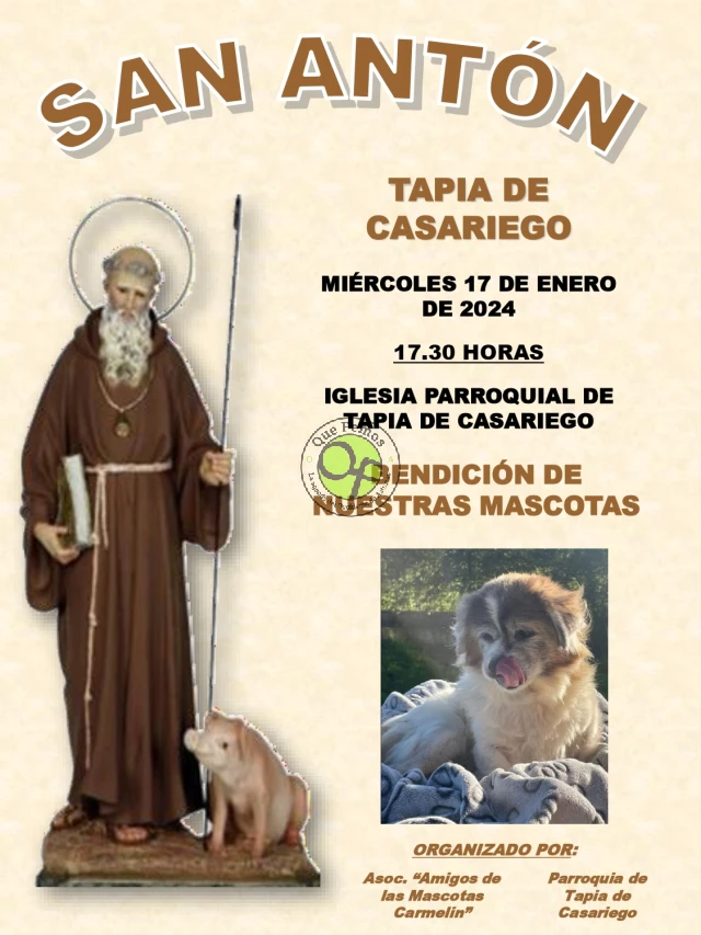 San Antón bendice las mascotas de Tapia de Casariego