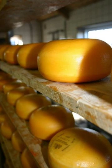 Curso de quesos y productos lácteos en los Oscos: mayo 2024