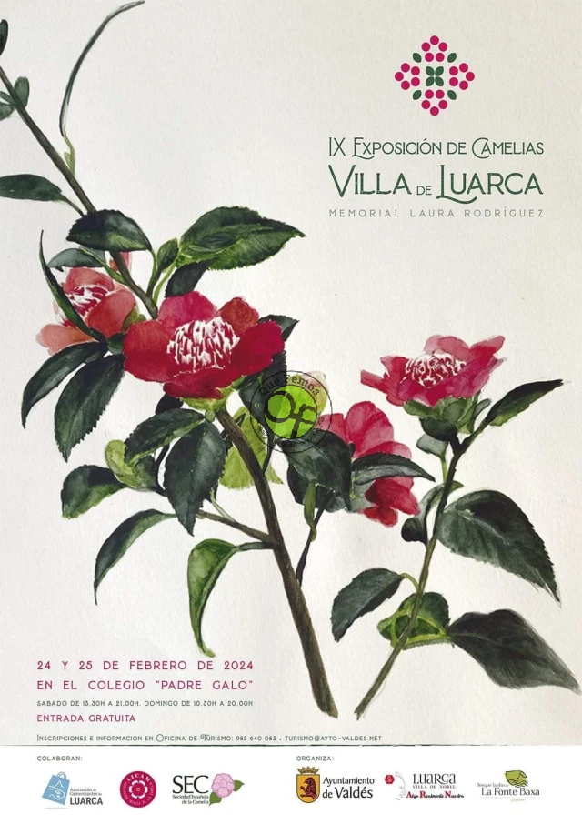Exposición de Camelias Villa de Luarca 2024