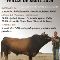 Salas celebra su popular Concurso-Exposición de Ganado Vacuno Raza Asturiana de los Valles 2024