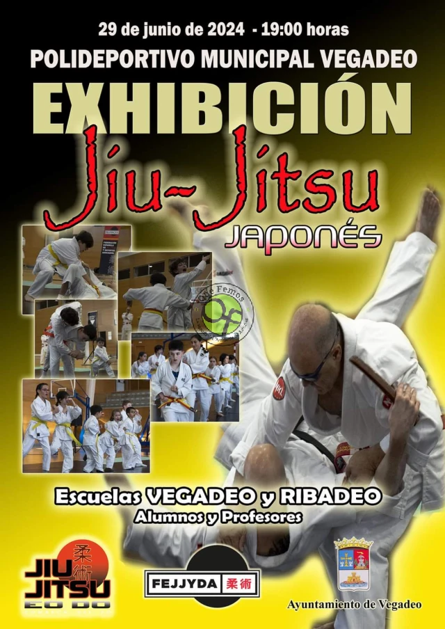  Exhibición de jiu-jitsu japonés en Vegadeo