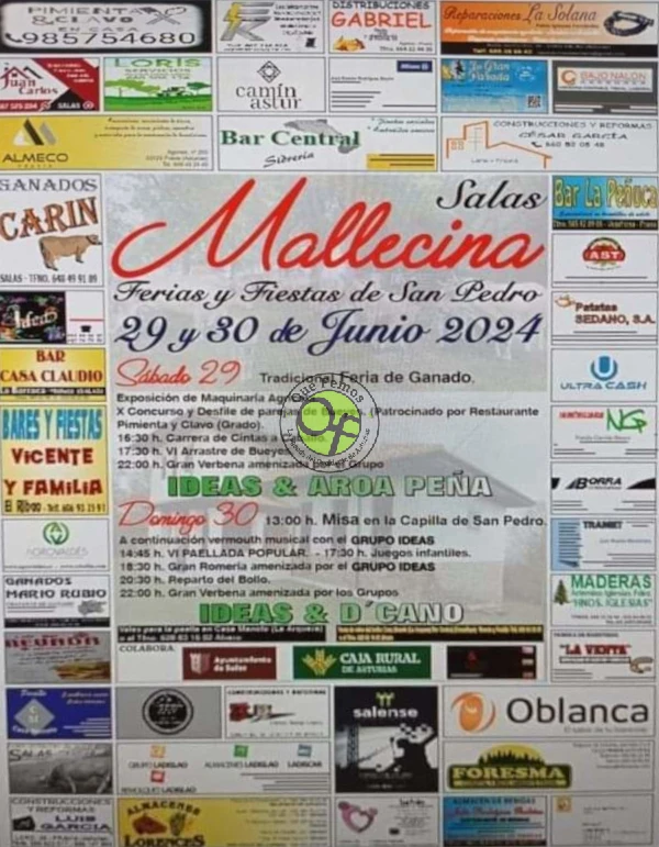Fiestas de San Pedro en Mallecina 2024