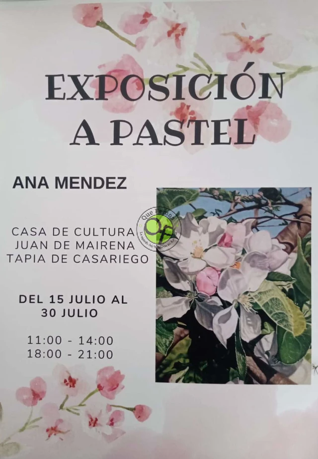 Exposición de Ana Méndez en Tapia de Casariego