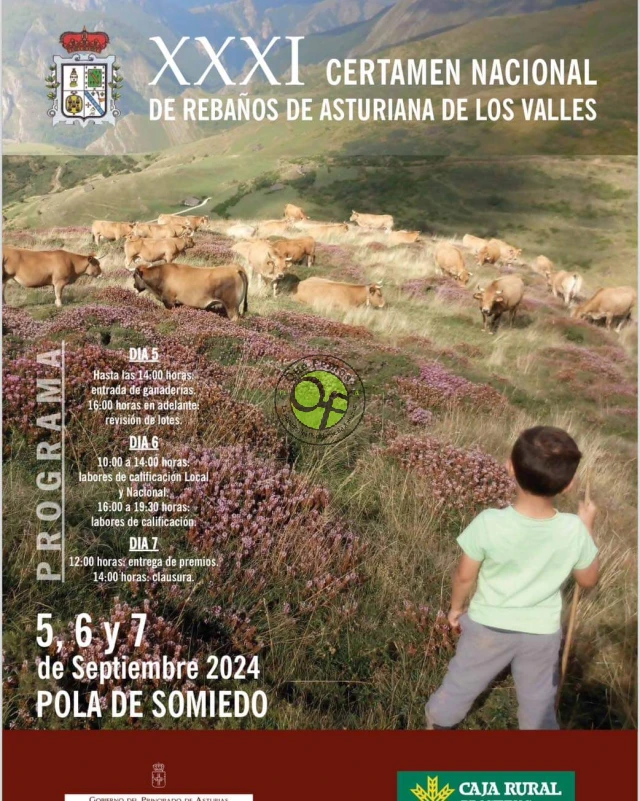 Certamen Nacional de Rebaños de Asturiana de los Valles 2024 en Pola de Somiedo