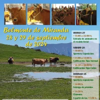 Exposición Regional de Ganado Vacuno Asturiana de los Valles 2024 en Belmonte de Miranda