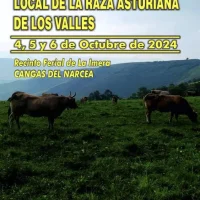 Muestra Ganadera Local de la Raza Asturiana de los Valles 2024 en Cangas del Narcea