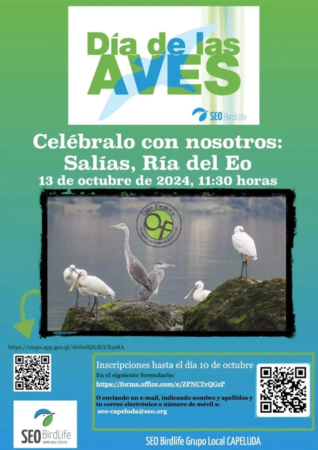 Jornada de avistamiento de aves en la Ría del Eo