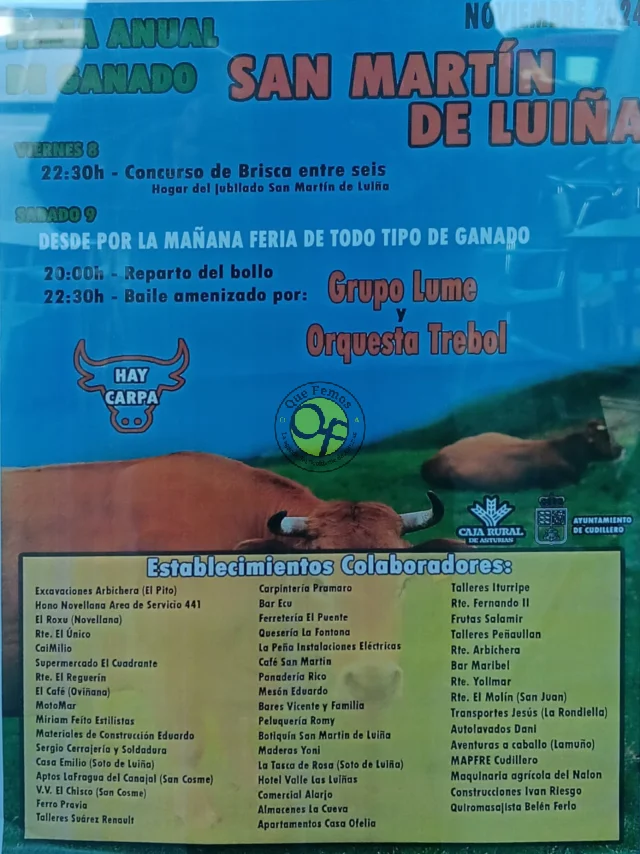 Feria Anual de Ganado de San Martín de Luiña 2024