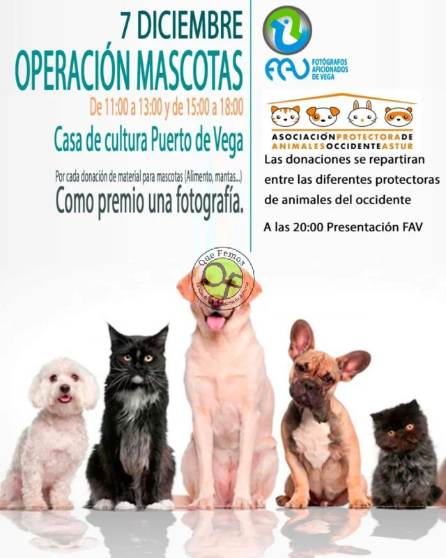 Cita solidaria en Puerto de Vega con la Operación Mascotas