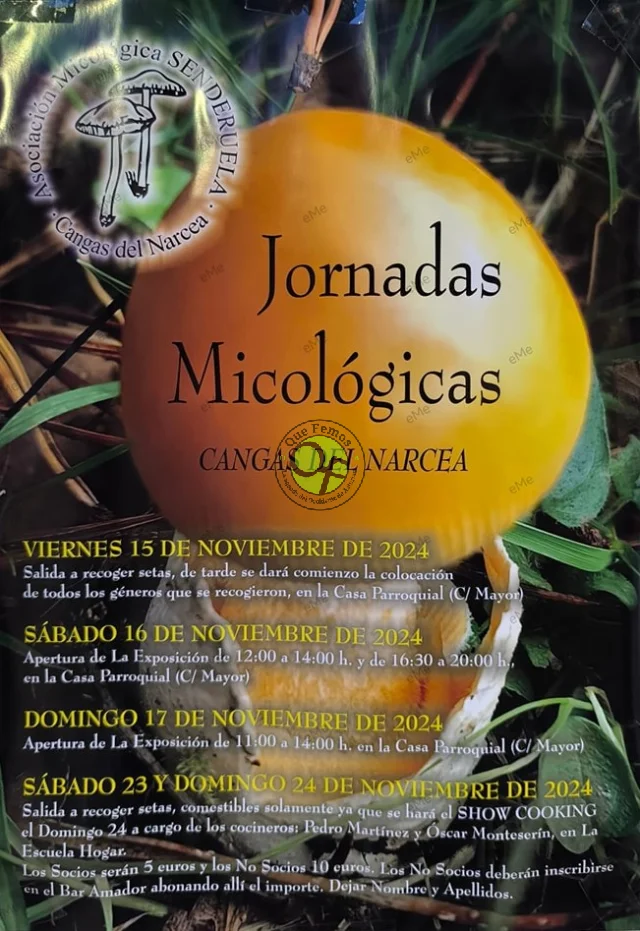 Jornadas Micológicas en Cangas del Narcea