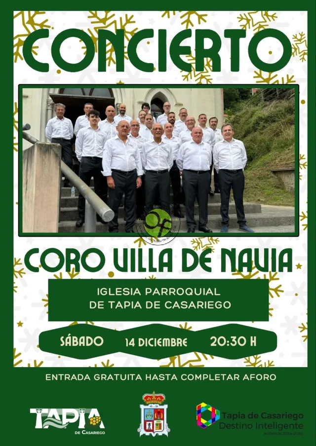 Concierto de Navidad en Tapia