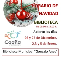 Horario de Navidad de la Biblioteca Gonzalo Anes de Ortiguera