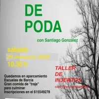 Taller de poda e injertos en Barcia