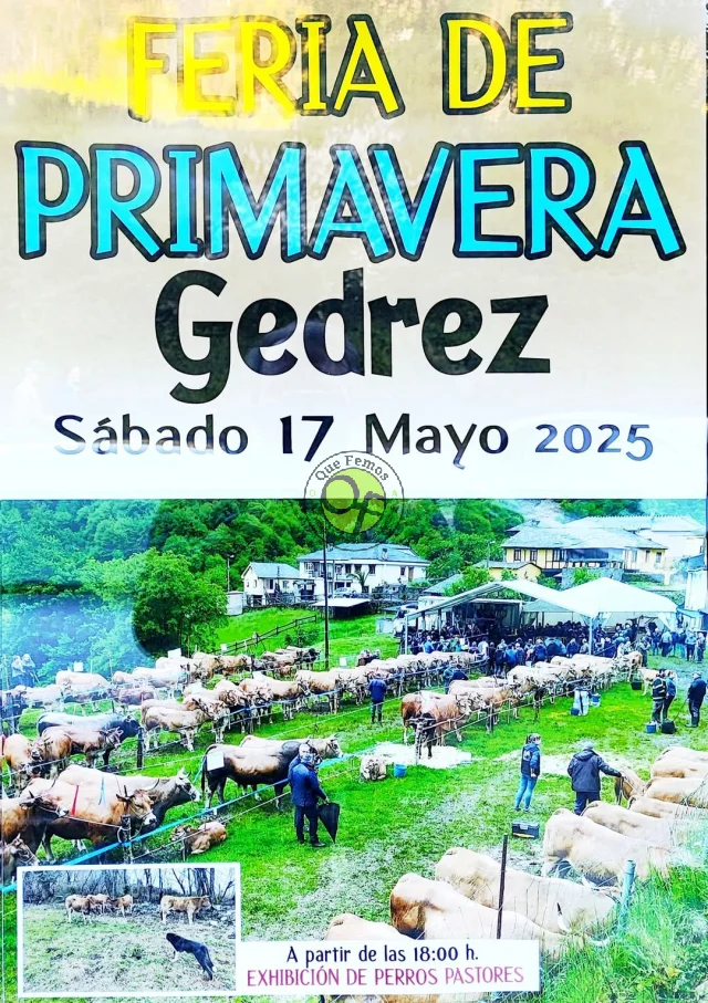 Feria de Primavera de Xedré 2025