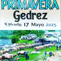 Feria de Primavera de Xedré 2025