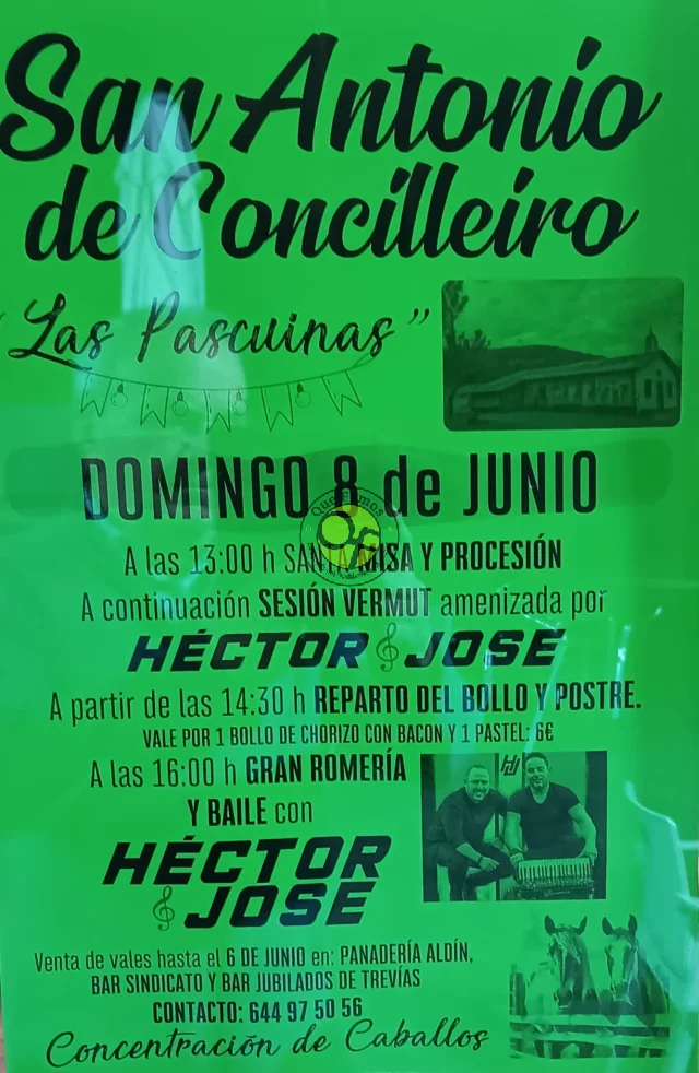 Fiesta de San Antonio de Concilleiro 2025