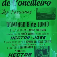 Fiesta de San Antonio de Concilleiro 2025