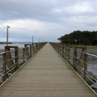 La Chiruca acudirá a la Costa Naviega un año más