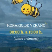 Horario de verano del SDTL de Boal