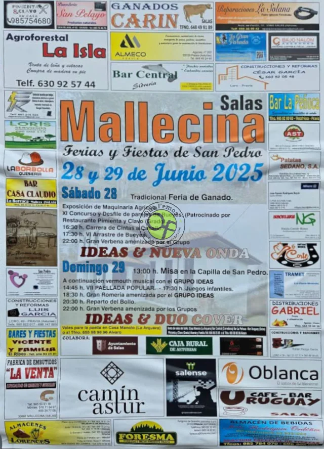 Fiestas de San Pedro 2025 en Mallecina
