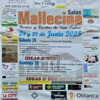 Fiestas de San Pedro 2025 en Mallecina
